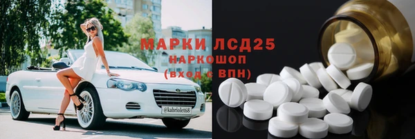 стафф Аркадак
