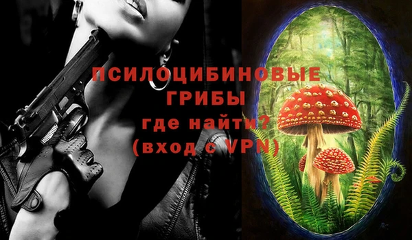 стафф Аркадак