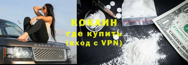 сатива Арсеньев